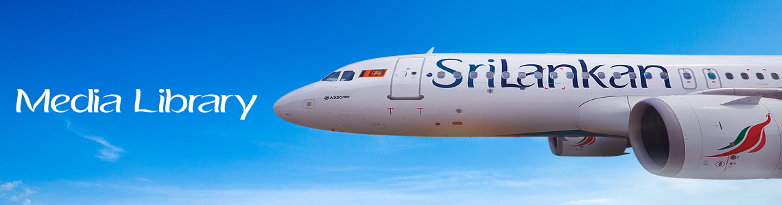 Media gallery banner