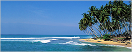 Discover Sri Lanka